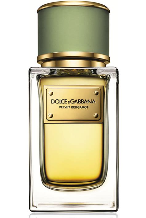 dolce gabbana velvet bergamot